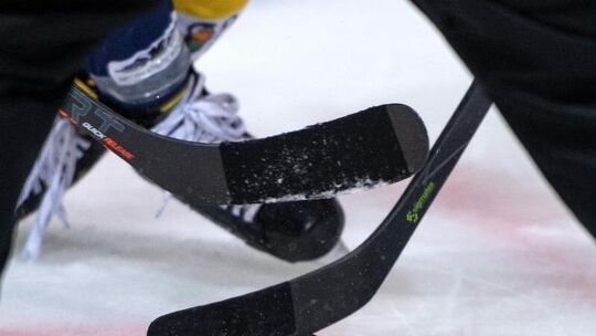 Deutsche Eishockey Liga