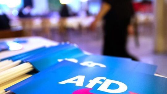 Fähnchen mit dem Logo der AfD liegen auf einem Tisch