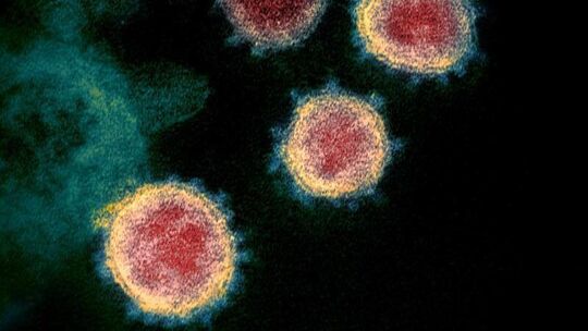 Coronavirus