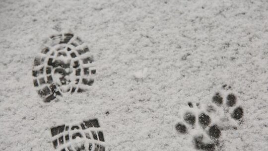 Schnee
