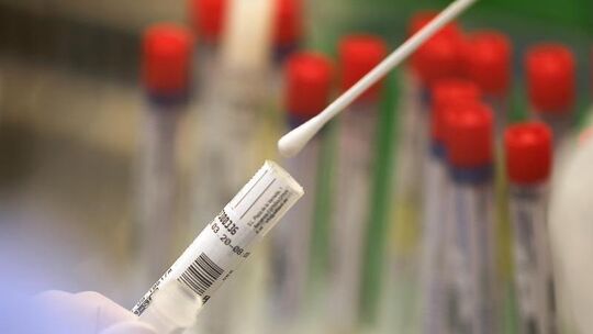 Coronavirus