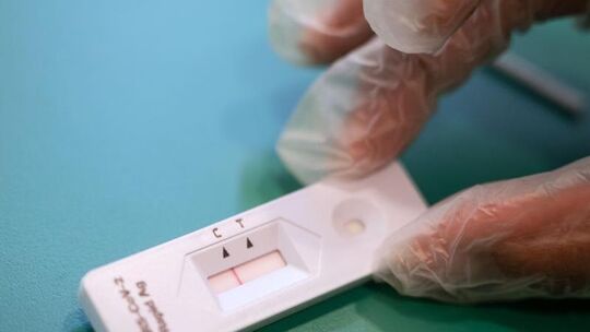 Schnelltest