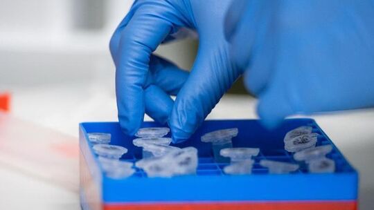 Eine Laborantin führt Untersuchungen zum Coronavirus durch
