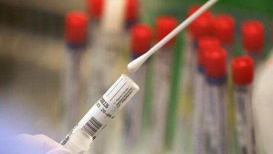 Coronavirus