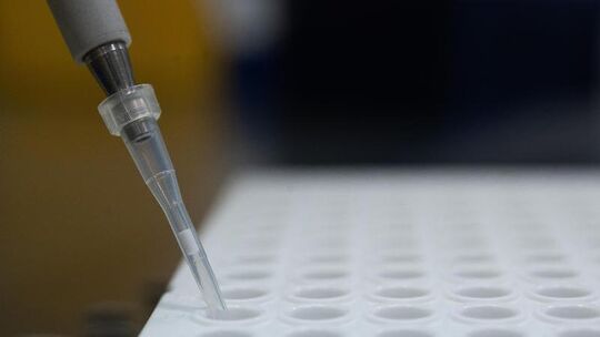 PCR-Test