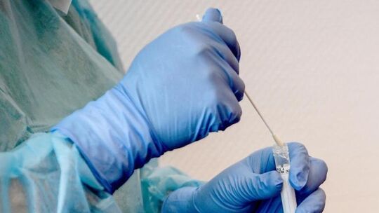 PCR-Test PCR-Test