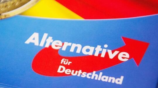AfD-Flyer