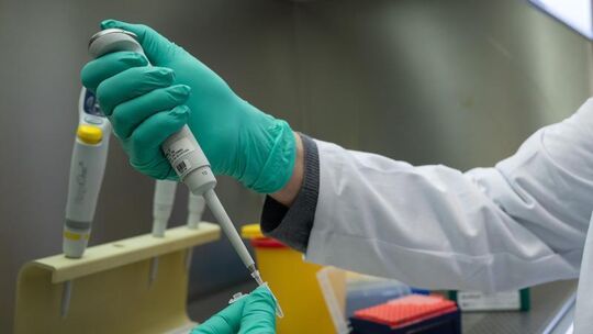 Coronavirus Coronavirus