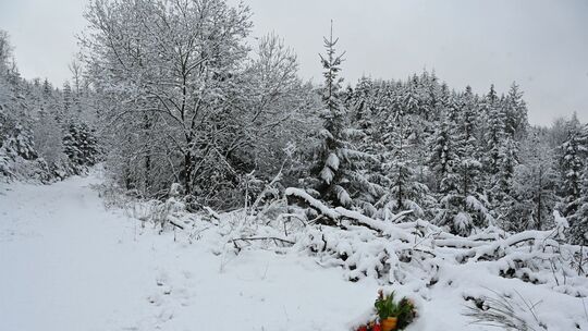 Zwölfjährige Luise erstochen