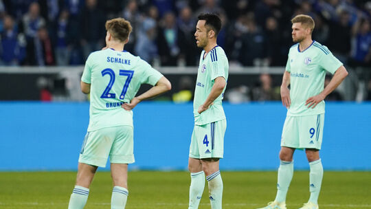 1899 Hoffenheim - FC Schalke 04