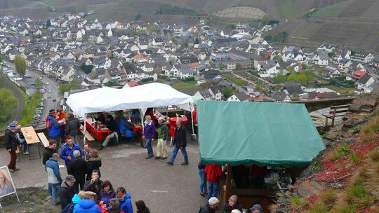 foto-tarrach-weinfruhling-10.jpg