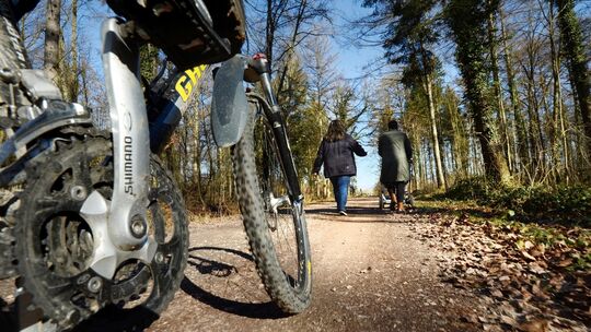 Radeln durch den Wald