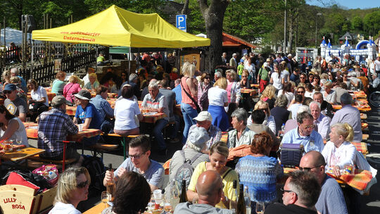bad-bodendorf-weinfest