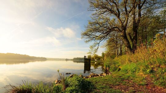 dreifelder_weiher_dsc_3708_lr_harry_neumann_klein