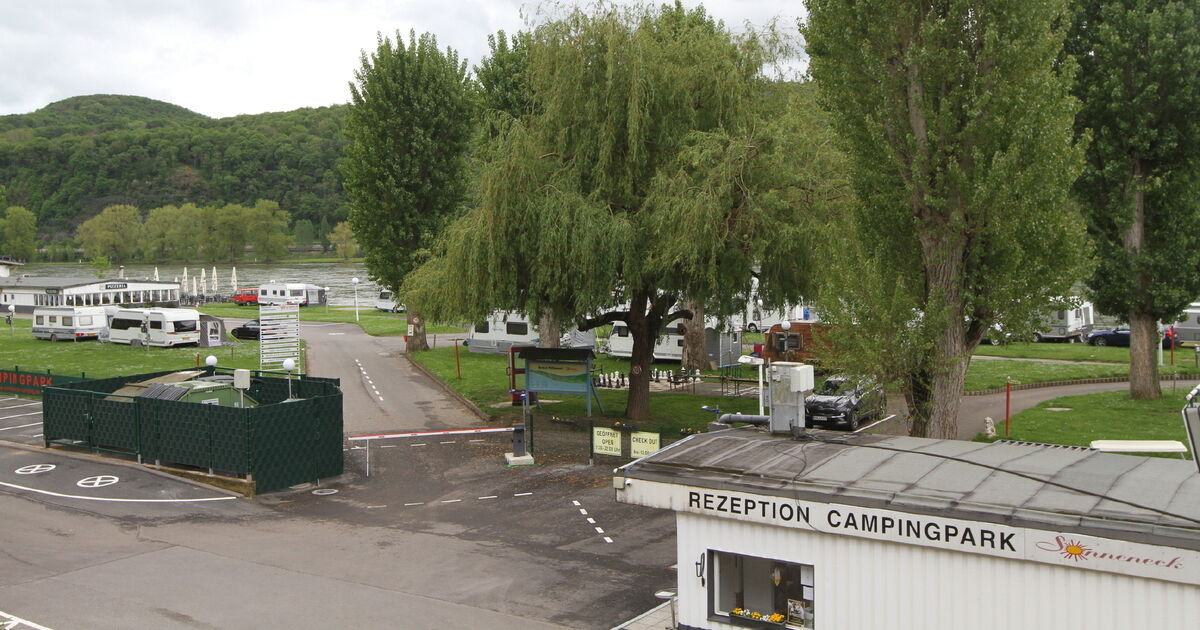handpumpe brunnen funktionsweise OSMEX Plus SET – + Filterglocke für Wasseraufbereitung & Filtration – Osmex flat guitar patch cables Color:BlackYellow Fahrrad LED Rücklicht mit