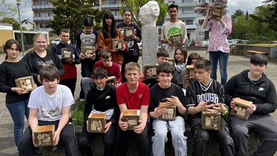 foto-projekt-1