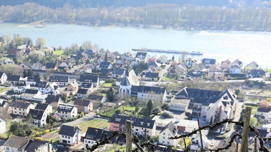 leutesdorf-weinberge-28