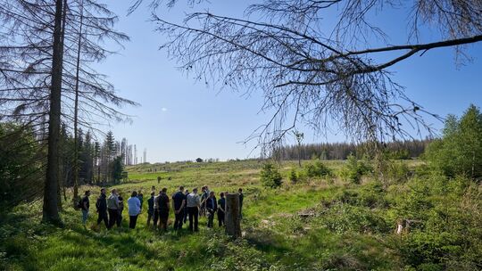 Naturreservart Montabaurer Höhe - Alarmstange