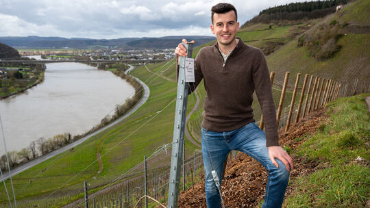 ARCHIV - 31.03.2023, Rheinland-Pfalz, Leiwen: Winzer Carlo Schmitt steht in seinem Steillagen-Weinberg der Lage Longuicher Herre Winzer Carlo Schmitt