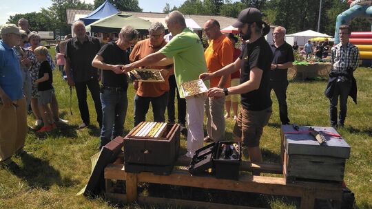 livebienendemonstration