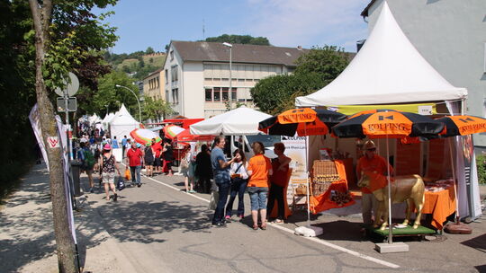 Blick auf die Aussteller in der Jahnstraße