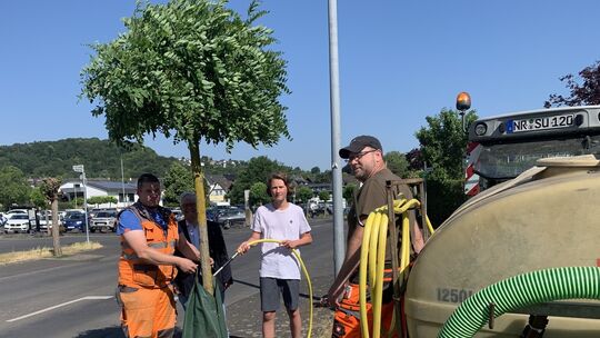 pressefoto_15_06_2023_unkeler_sollen_ihre_straenbaume_vor_dem_vertrocknen_retten