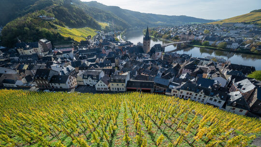 Weine von der Mosel - «Bernkasteler Doctor»