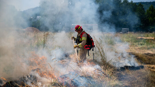 Mehr Waldbrände - Feuerwehren trainieren für den Ernstfall