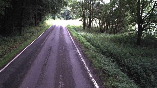 bild1