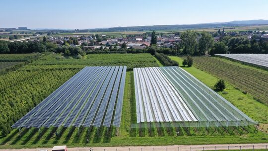 ubersicht-agri-pv-obstbauanlage-fraunhofer-ise