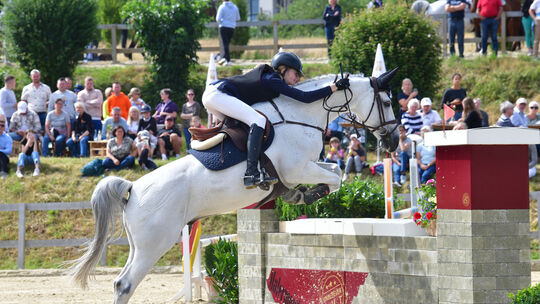 k501 reiten
