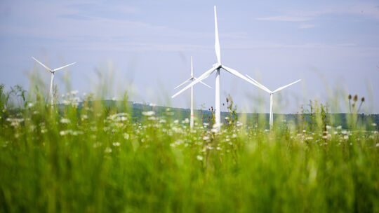 «Greenwashing» im Finanzsektor