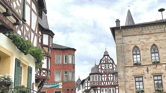 monzingen-scan