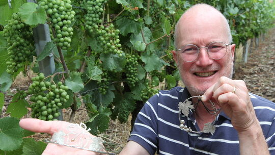 Stefan Rees Junge Leute können sich bewerben - Ämter der Weinhoheiten stehen allen ...