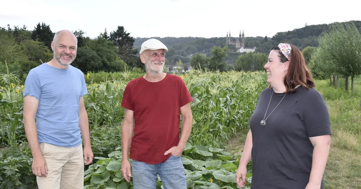 Solidarische Landwirtschaft versorgt inzwischen etwa 190 Haushalte mit ...