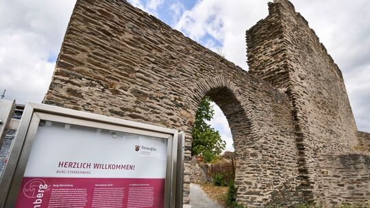 Burg Sterrenberg