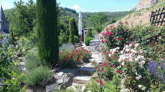 230718_pfarrgarten_nachher_rosenundlavendel