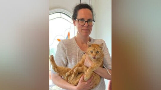 Kater Ron