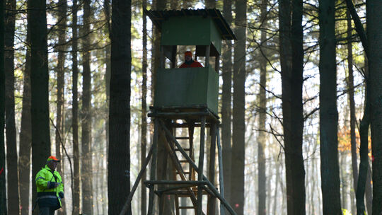 Es braut sich was zusammen - Jagdgesetz-Novelle erhitzt Gemüter