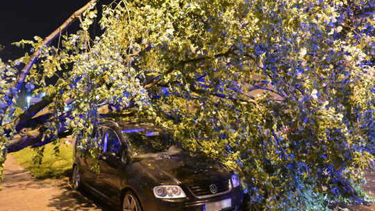 Unwetter in Brandenburg/Havel hinterlässt große Schäden