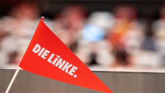 Landesparteitag Die Linke Hessen