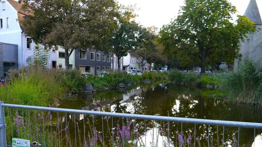 teich_stadtgraben