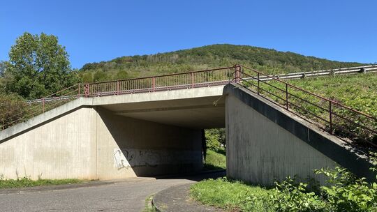 image00014