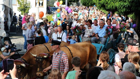 006_b_almabtrieb_niederelbert-im-alm-rausch