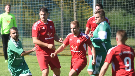 Guldenbachtal II - Hargesheim