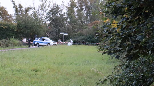 Spurensicherung Tötung Büdesheim