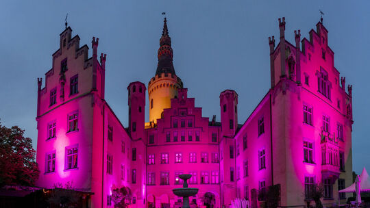 Pinkes Schloss Arenfels - Weltmädcjhentag