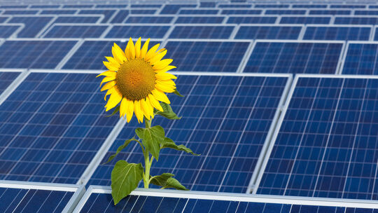 Google investiert Millionen in brandenburgischen Solarpark