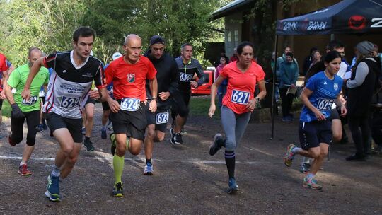 Crosslauf des VfL Bremm am Waldspielplatz Geul