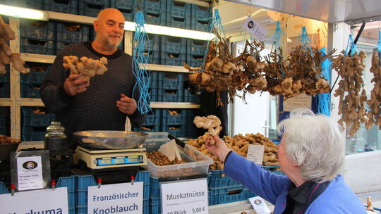 ingwerknoblauch01